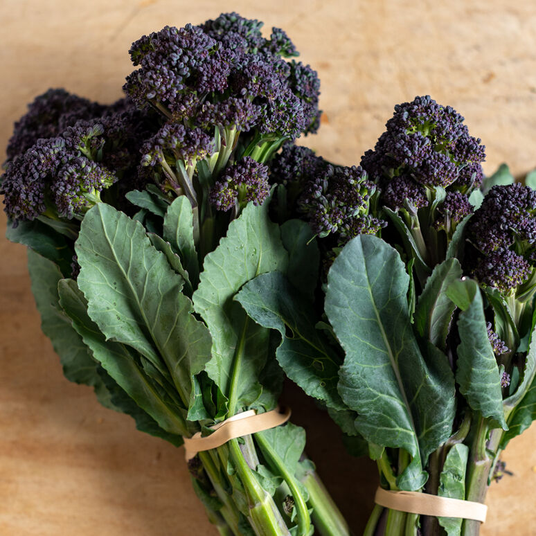 burgundy sprouting broccoli